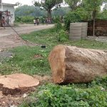 8882c1bd-6559-4448-9a66-9b267801509f