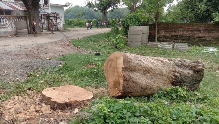 8882c1bd-6559-4448-9a66-9b267801509f