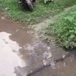 Opera Snapshot_2022-09-11_180126_web.whatsapp.com