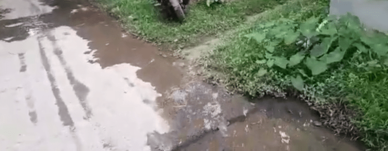 Opera Snapshot_2022-09-11_180126_web.whatsapp.com