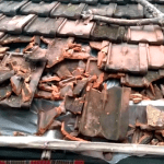 Opera Snapshot_2022-09-19_235340_web.whatsapp.com