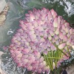 a000e468-2b26-4df6-b1b3-3cdbff6c4a8e