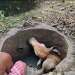 ac7ea67f-374e-42f9-aeea-363205019f5f