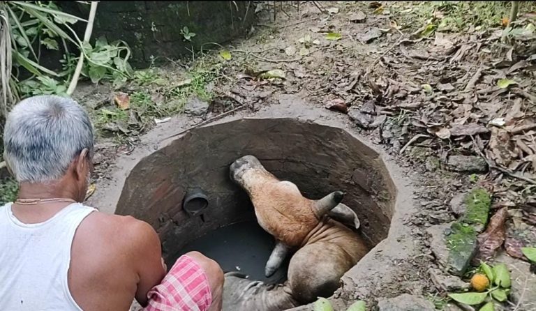 ac7ea67f-374e-42f9-aeea-363205019f5f