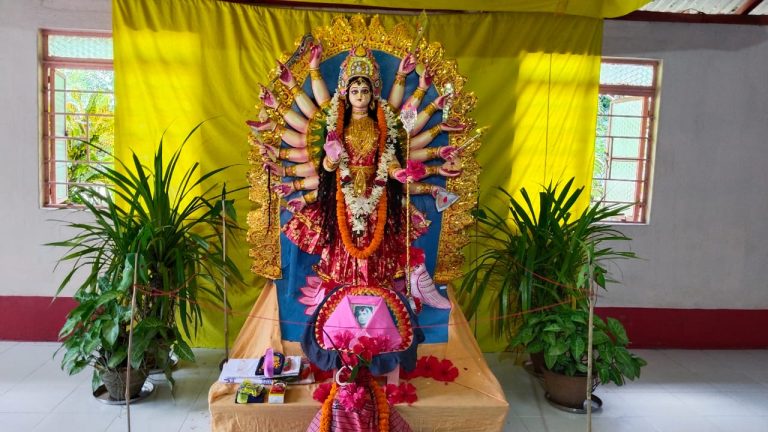 51ed6ea8-916d-41a9-bedf-cf21b681cb61