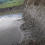 5cb49a8a-01e3-4ea7-9ea2-77f37d8332ee