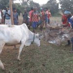 dba6f9c5-8866-4f3b-a61a-f669cf92f2f9