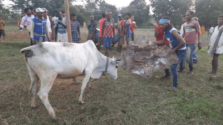 dba6f9c5-8866-4f3b-a61a-f669cf92f2f9