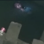 Opera Snapshot_2022-11-13_143856_web.whatsapp.com