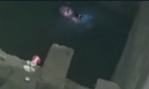 Opera Snapshot_2022-11-13_143856_web.whatsapp.com