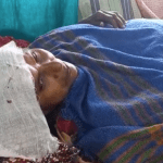 Opera Snapshot_2022-11-14_132202_web.whatsapp.com