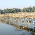 Opera Snapshot_2022-12-01_175709_web.whatsapp.com