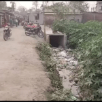 702be0da-df8c-4d61-9422-c150d0715ecc