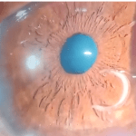 chrome_screenshot_web.whatsapp.com (4)