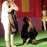 13226ef4-3c8d-4313-9f11-894969de2dc4