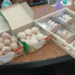 screenshot-web.whatsapp.com-2023.05.10-23_30_36