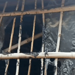 chrome-capture-2023-6-17