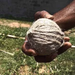 1681034635-0db8f3e4ba94da916c66e50d37922d40