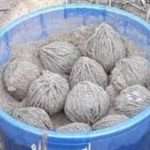 be8325d7-f66a-41dc-9676-f8e96c1789fc