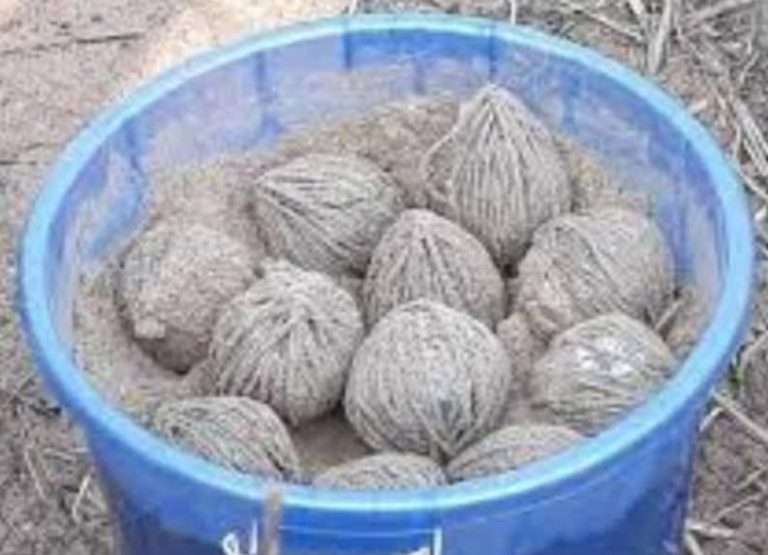 be8325d7-f66a-41dc-9676-f8e96c1789fc