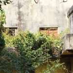 1606426937_5fc0213957fff_nazrul