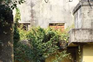 1606426937_5fc0213957fff_nazrul