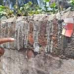 bf5d3a19-2f6c-436e-a62f-ca641d309c2f