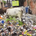 screenshot-web.whatsapp.com-2024.06.23-12_05_54