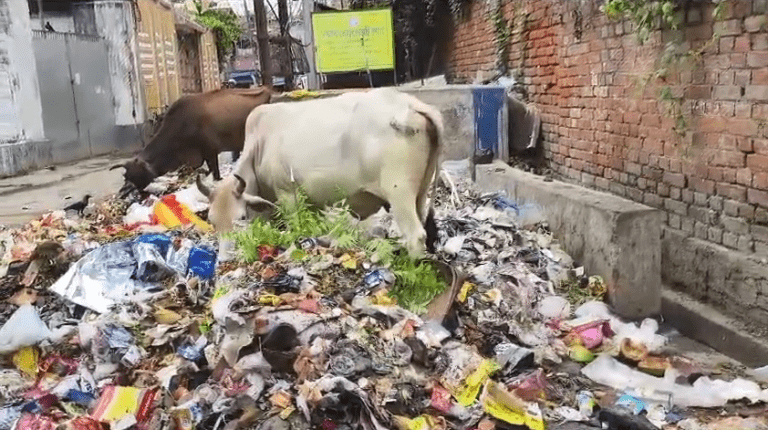 screenshot-web.whatsapp.com-2024.06.23-12_05_54