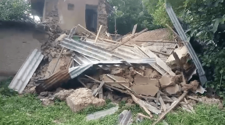 chrome-capture-2024-9-10 (9)