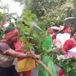 chrome-capture-2024-9-14 (1)