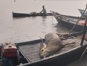 5e9befa2-cbe2-4b81-8365-40002e87c390