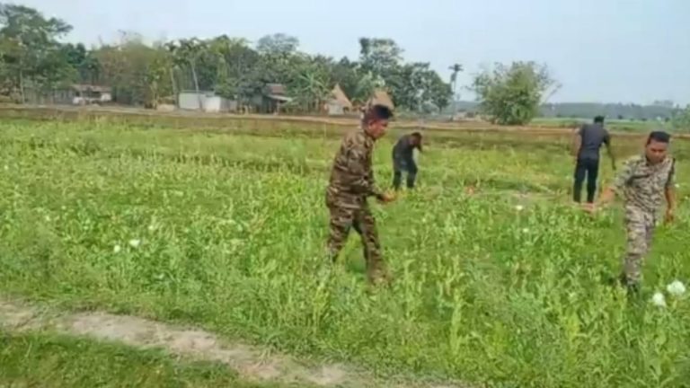 08ac53c6-7fd8-499e-8e6f-ee8db0ea2e69