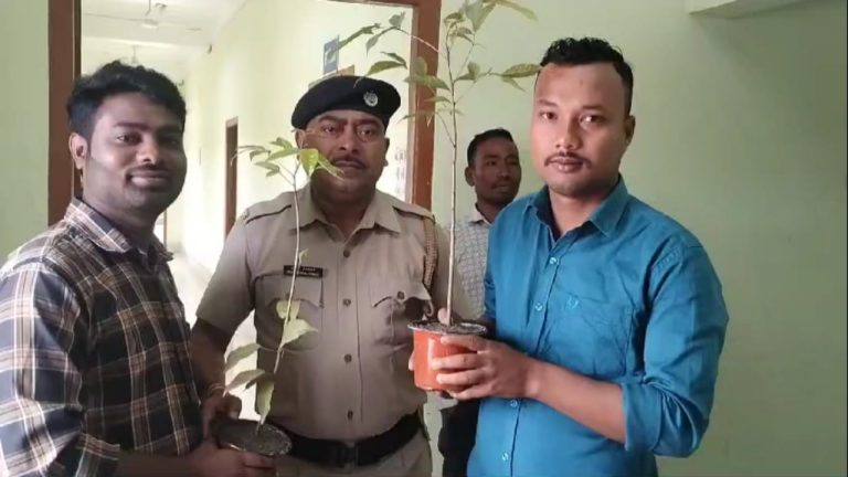 1b554911-7442-4d7e-ad41-92b0ec6cabf1