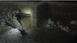 Screenshot_11-2-2025_231630_web.whatsapp.com