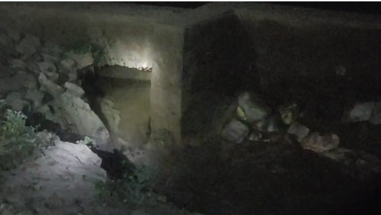 Screenshot_11-2-2025_231630_web.whatsapp.com