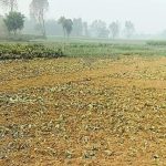 ea297c12-5670-4d73-993b-b1a6034f09aa