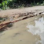 Screenshot_7-8-2025_1429_web.whatsapp.com