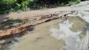 Screenshot_7-8-2025_1429_web.whatsapp.com