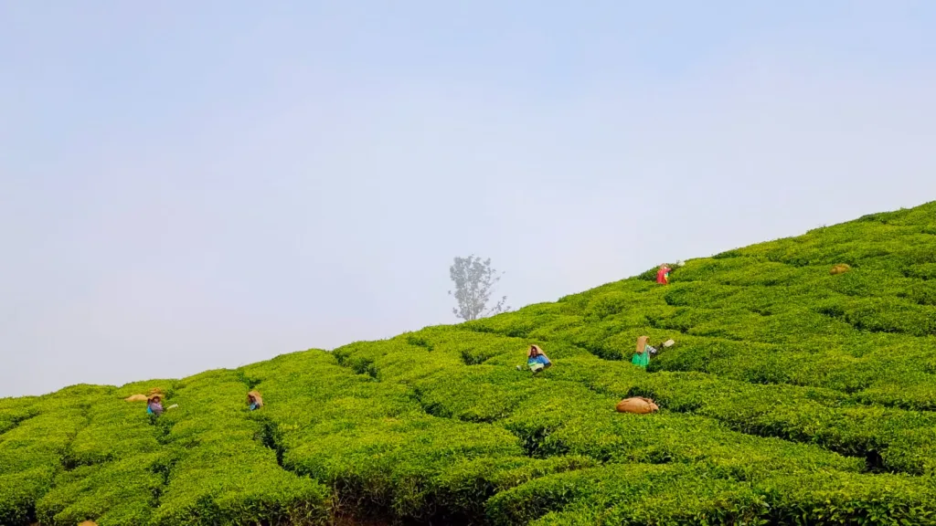 1828ffb4-0af2-4374-b288-6b2340f3cc17