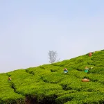 1828ffb4-0af2-4374-b288-6b2340f3cc17