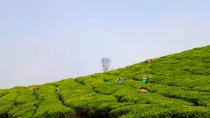 1828ffb4-0af2-4374-b288-6b2340f3cc17