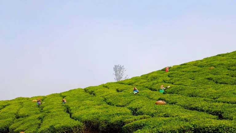 1828ffb4-0af2-4374-b288-6b2340f3cc17