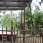 e6ae4ed6-9d8a-4f51-bb92-62da5203ab8f