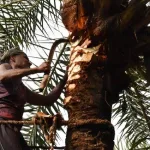 WhatsApp Image 2025-11-08 at 11.16.12_dd400152