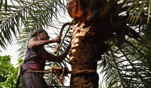 WhatsApp Image 2025-11-08 at 11.16.12_dd400152