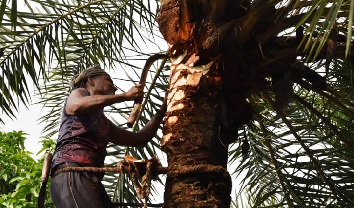 WhatsApp Image 2025-11-08 at 11.16.12_dd400152