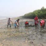 স্কিপার পরিবেশ সুরক্ষায় অগ্রণী – ‘হরিয়ালি’ উদ্যোগে সুন্দরবনে ম্যাংগ্রোভ পুনরুদ্ধার ও নিরাপত্তাহীন পরিবারের ক্ষমতায়ন / Skipper drives climate action on the ground with ‘Hariyali’ to restore mangroves and empower vulnerable families in Sundarbans
