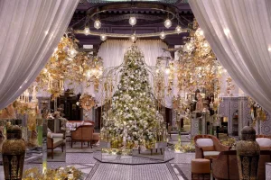 WhatsApp Image 2025-12-20 at 3.39.56 PM