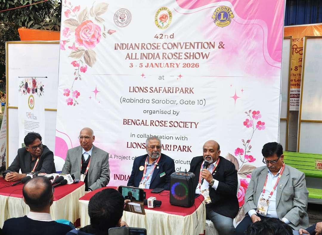 08a3fe52-542f-4c18-8933-fb7a894985f9